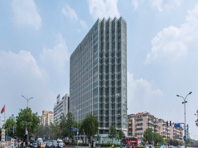 细极链格孢蒜生变种菌株